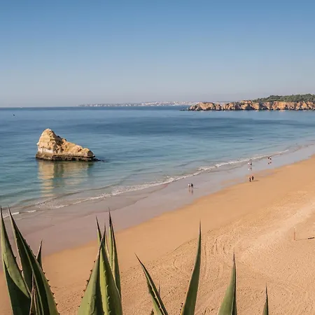 Апартаменти Fortaleza Sea View *