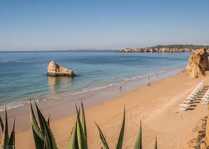 Appartamento Fortaleza Sea View *